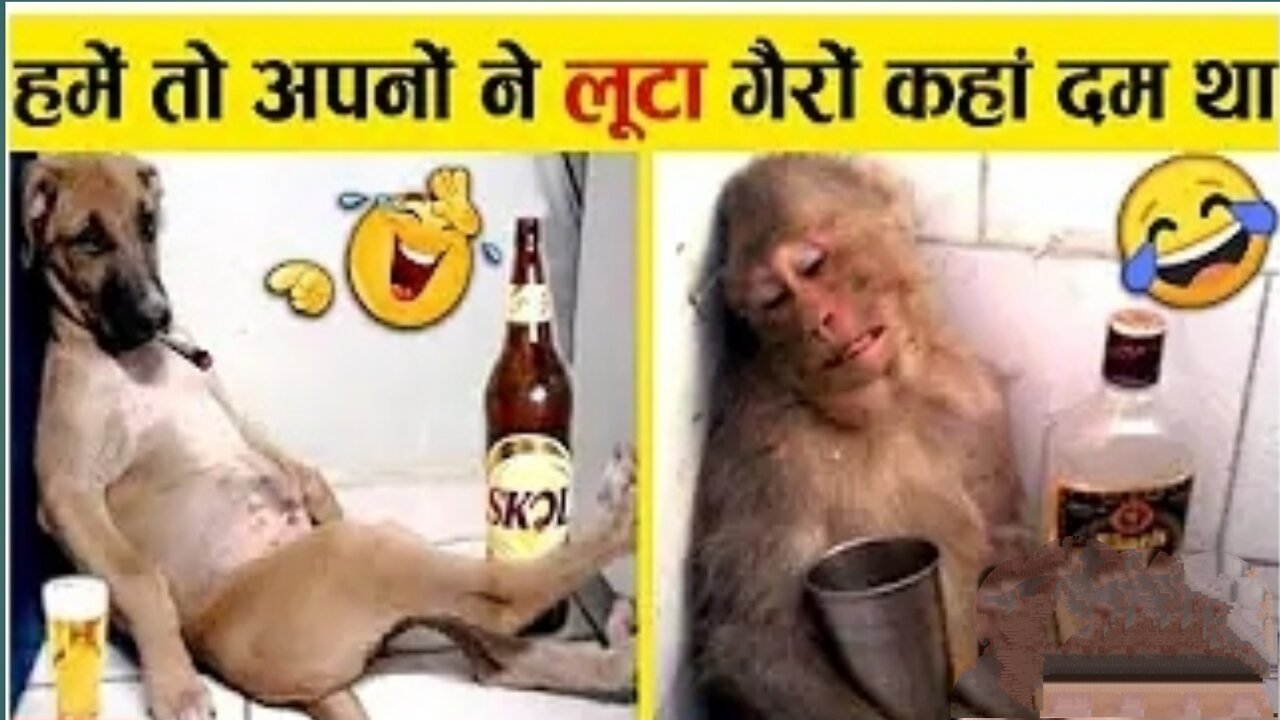 न जानवरों से पंगा ना बाबा ना 🤣😜.... Funny Animals Video 2022