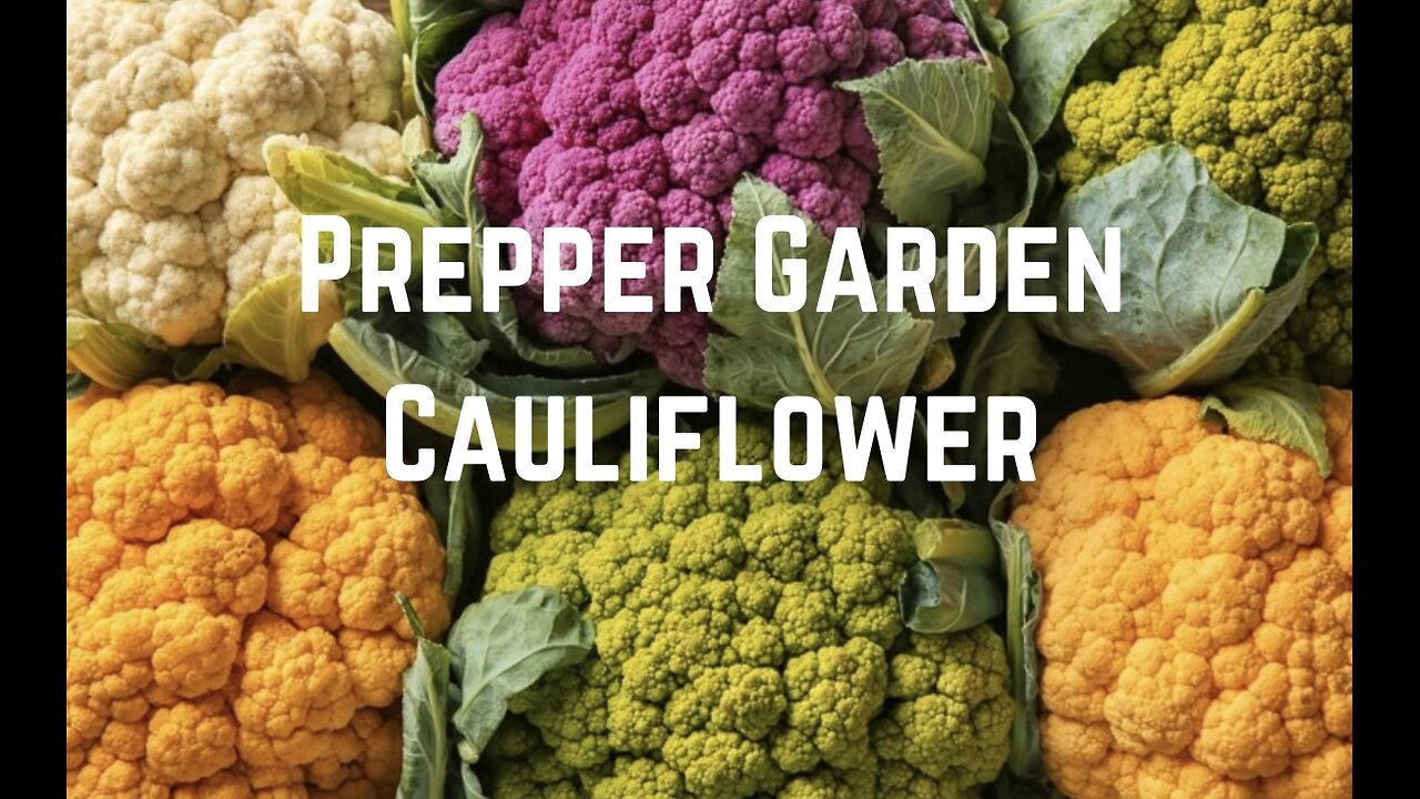 Prepper Garden: Grow Cauliflower