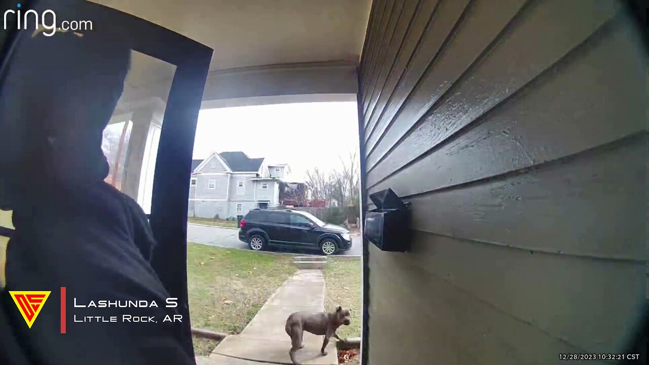 My Neighbor Pitbull Was Off The Leash and Chases Me Caught on Ring Camera | Doorbell Camera Video