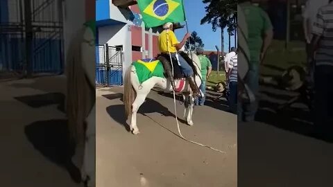 Um cavalo lindo com um patriot4 valent3 levantando sua bandeira do Brasil #shorts