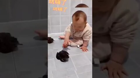 cute chubby baby #shorts #18 #voiceofkanij #funny video #shortsvideo