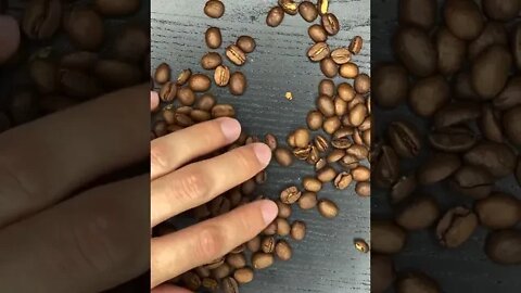 You HAVE to Try Out This TRICK!!!! (needs coffee beans)