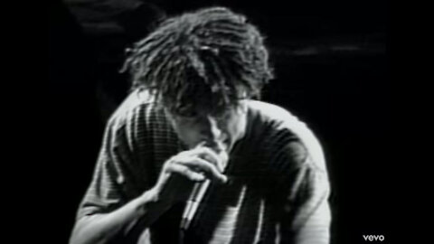 Rage Against The Machine - Killing In the Name (And now you do what they told ya)