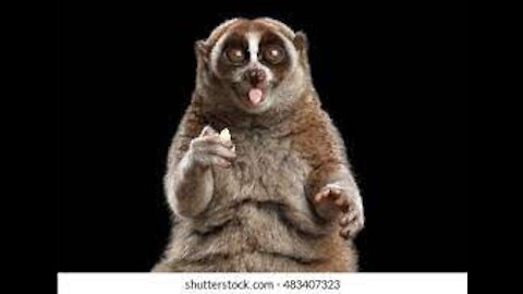 Lucifer Is One Twisted Liar Focused On Destroying America