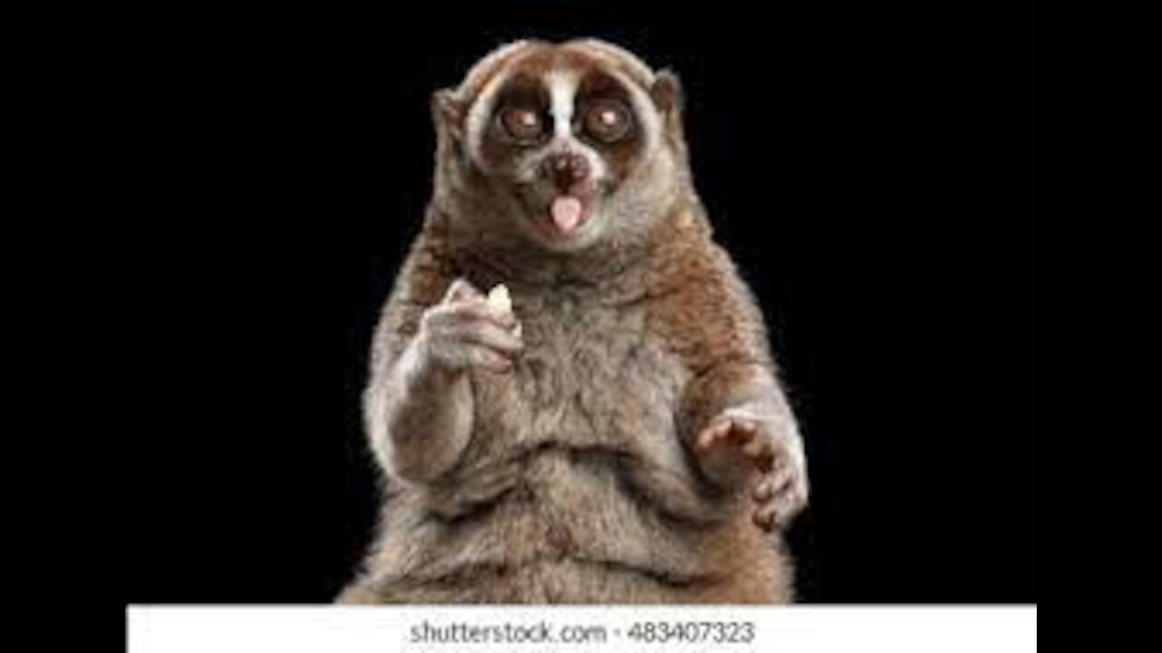 Lucifer Is One Twisted Liar Focused On Destroying America