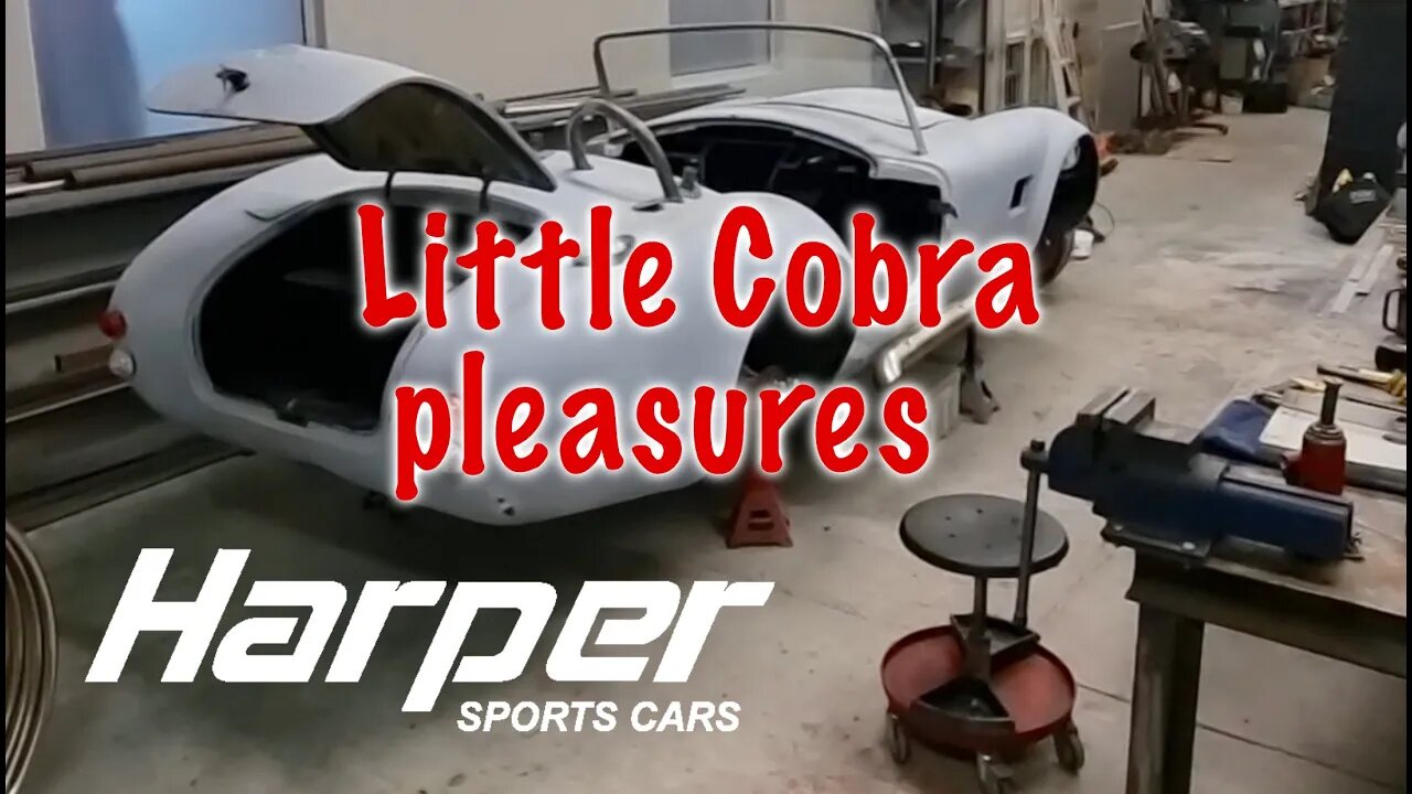 Little Cobra Pleasures