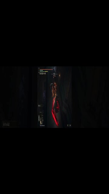 Elden Ring Invasions #106