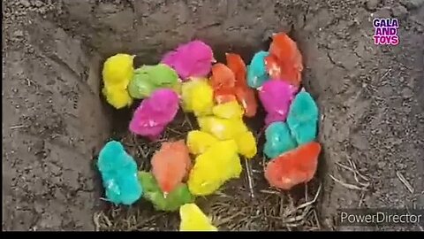 color full chicks and farms and many animals fishing with men