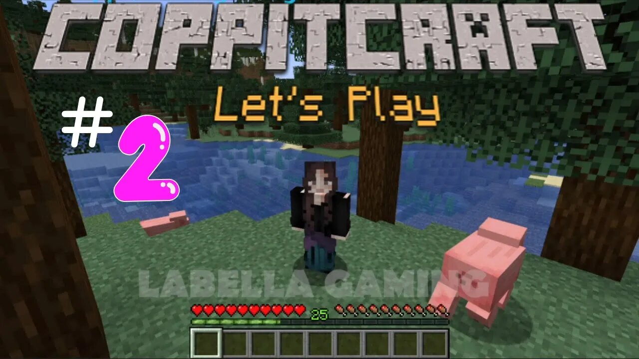 Let's Play - Coppitcraft - Ep 2 Get In The Mines | Minecraft