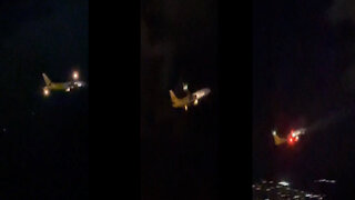 Flying at night is more vocal and fearful. Watch the video 2021