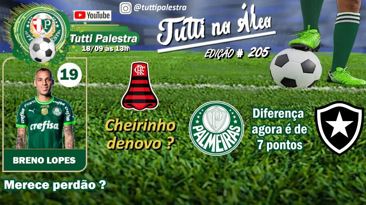 🔴#AOVIVO | Tutti na Área #205 - Palmeiras reduz para 7 pontos a diferença para o Líder.