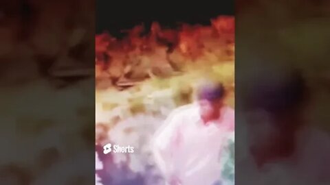 P1R4D0 NO QATAR! #shorts #qatar #copadomundo #lula #bolsonaro