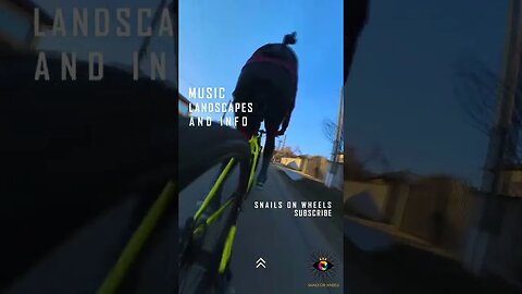 COMANA Forest winter ride, Giurgiu | #shorts #short | 🇷🇴