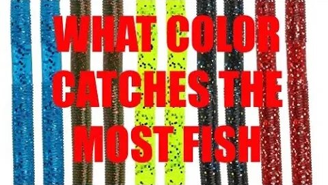 What’s the best color for Soft plastic worms? | Color guide!