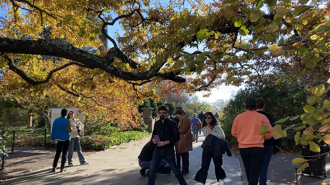 Brooklyn Botanic Garden (Autumn) 1