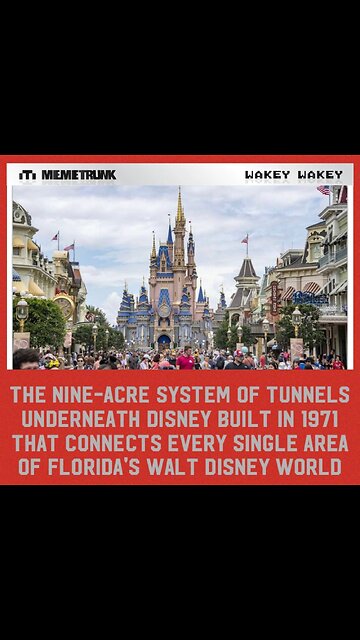 Ex-Senator Nancy Schaffer Killed After Exposing PEDOVORES