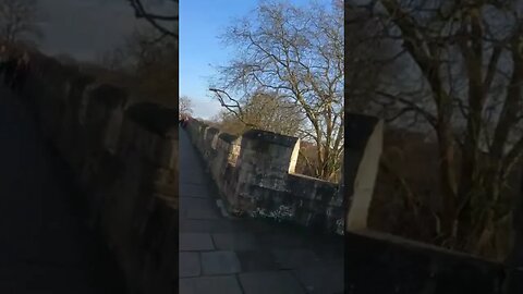 York #york