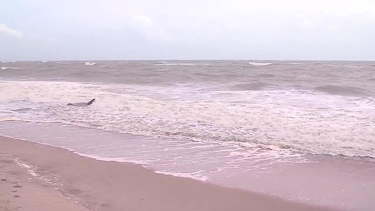 Waves rolling in at Vero Beach before Hurricane Dorian