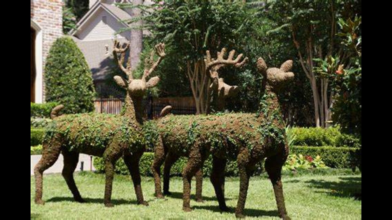 BIGGEST COLLECTION OF AMAZING TOPIARY'S