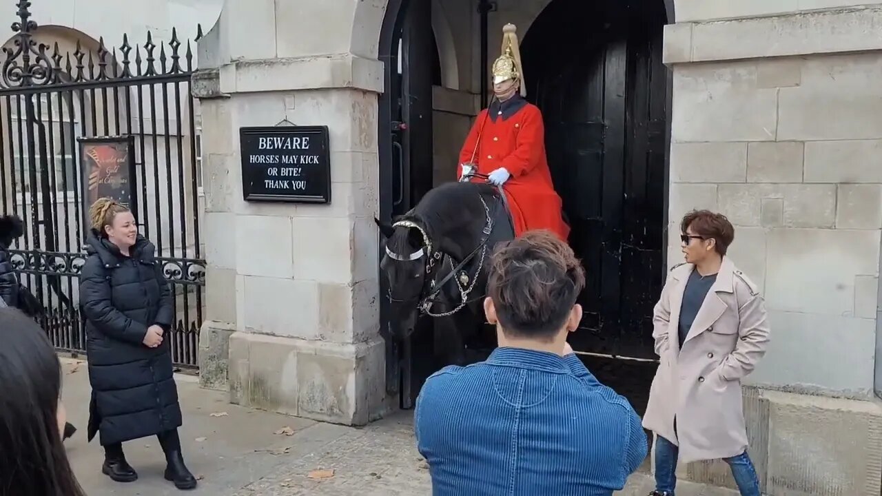 she touched the Reins #horseguardsparade