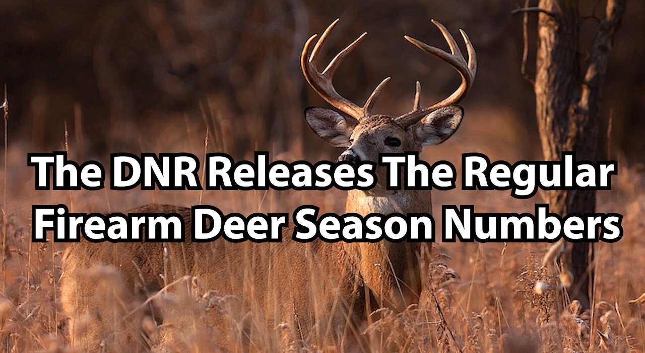 The DNR Releases The Regular Firearm Deer Season Numbers