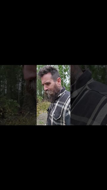 Hateful Comments Are Precious