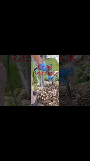 flower bed hack #shortsvideo #social media #gardening #flowers #peas