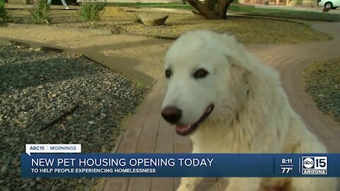 New pet hotel open in Scottsdale for people battling homelessness