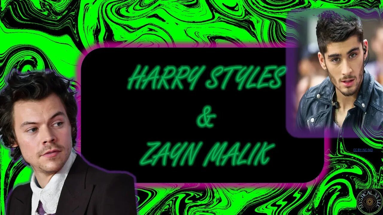 ZAYN MALIK & HARRY STYLES: ZAYN KNOWS THEY'RE NOT ALLOWED TO BE TOGETHER AND A SNAKE IS NOTICED...