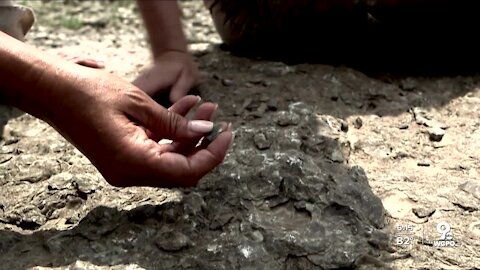 Hidden Cincinnati: Prehistoric secrets are buried on this Sharonville hillside