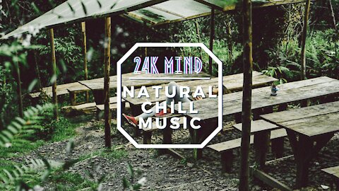 😌🌄 Natural Chill Music | Calm, Relaxing Music to Slow It Down ☯️🌱