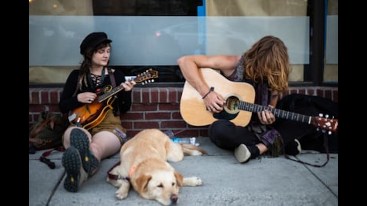 Animals and the power of music