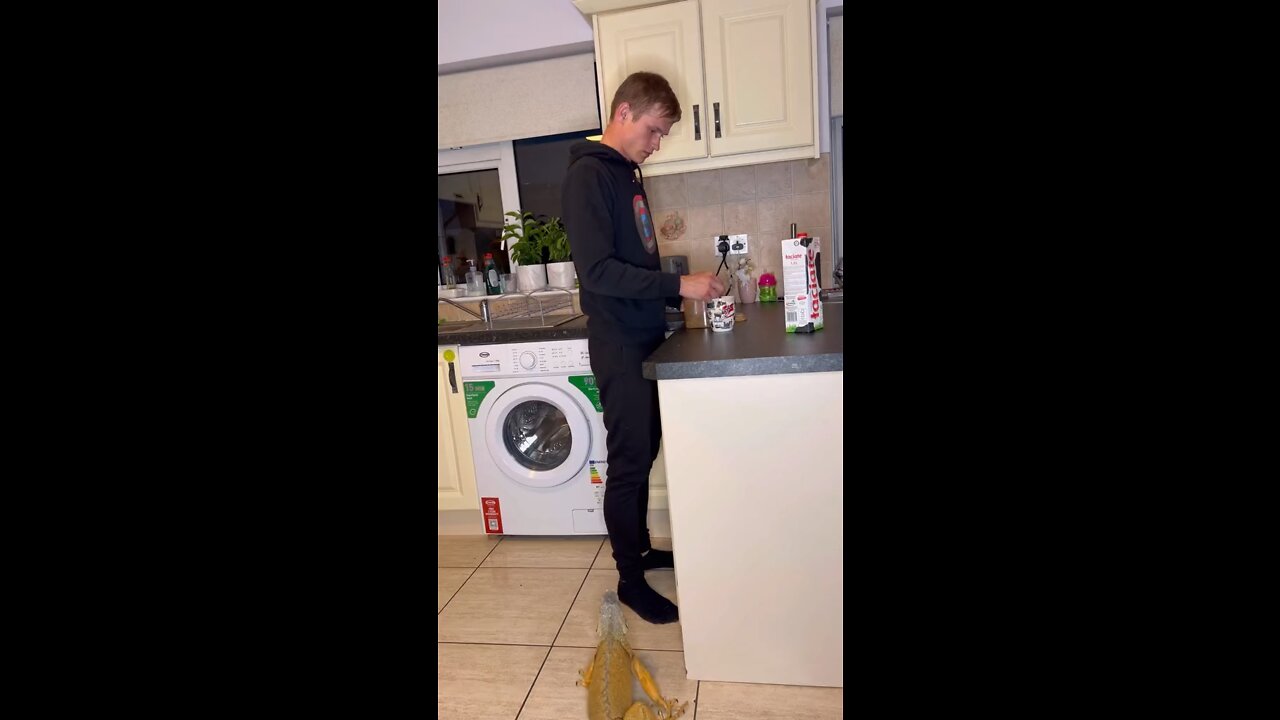 whats for dinner dad ?!?