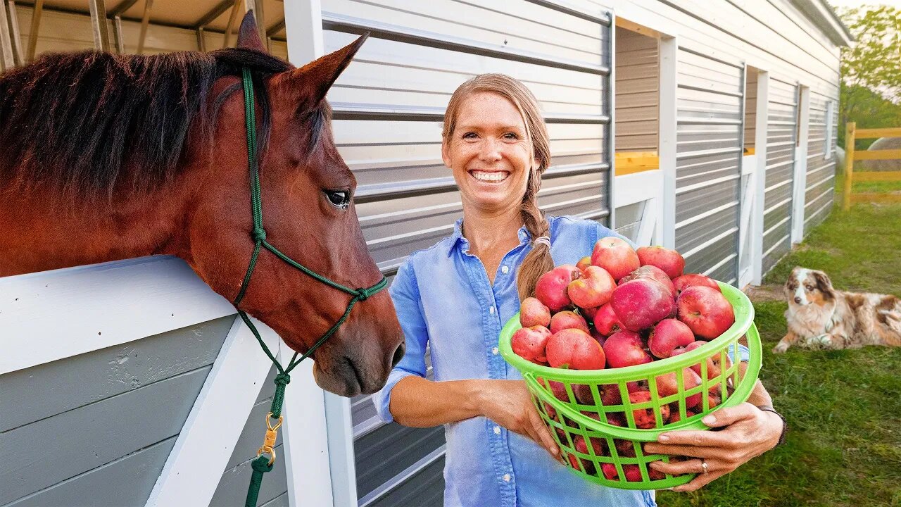 We Built a Horsebarn! Come Look Inside...