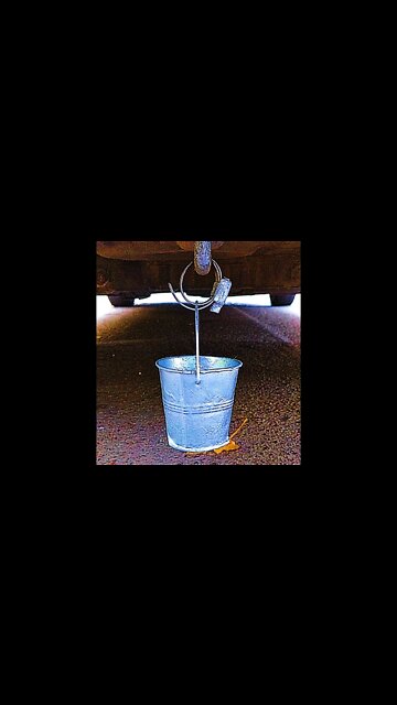 Зачем это ведро❔ или Дай Ведра !!!! Гад))) 🪣😝 #shorts