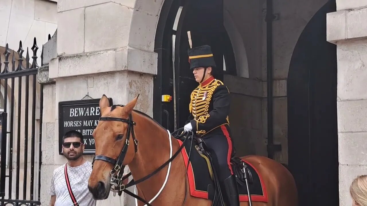 Another tourist touching the reins. it's not Disney land #horseguardsparade