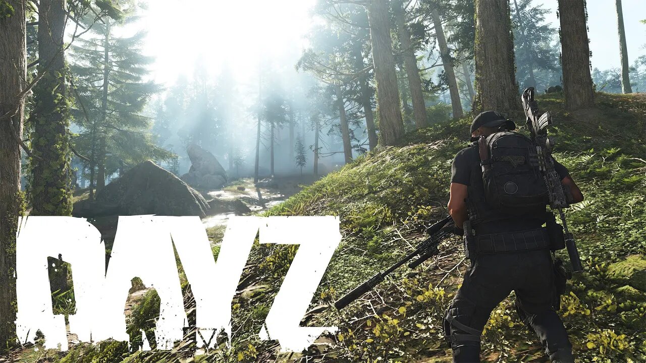 Staying Alive For 1 Full Year In - DayZ Chernarus