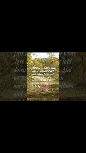 Daily Bible Verse short for today