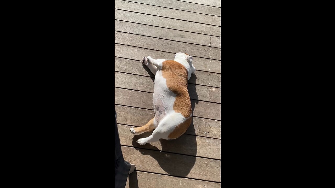 Enjoying that sunshine…🌤️❤️🌈