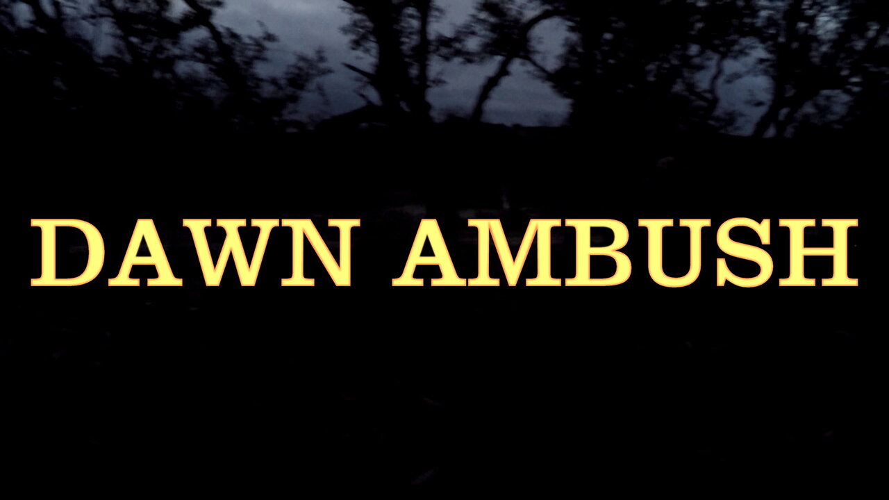 Dawn Ambush