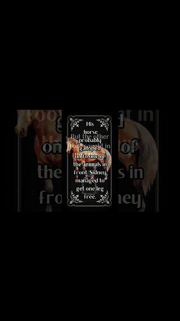 Sad Story Only 29 Years Old | Sidney Willis | South Australia | Intrepids