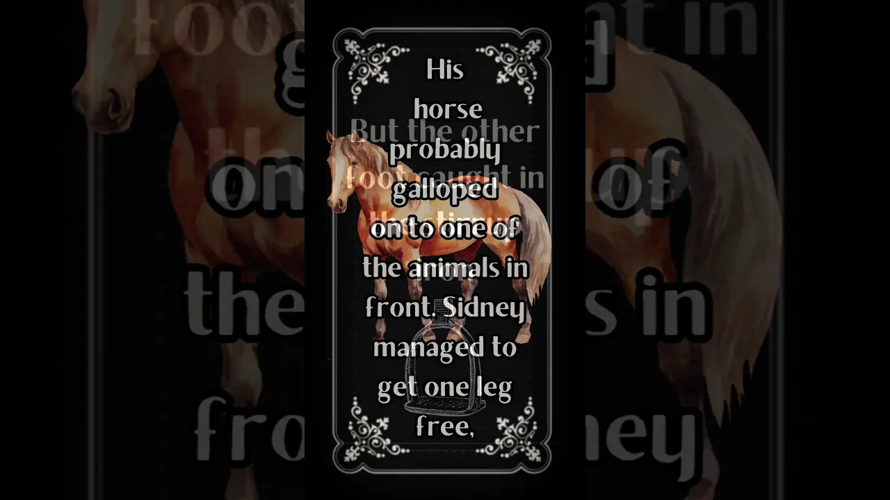 Sad Story Only 29 Years Old | Sidney Willis | South Australia | Intrepids