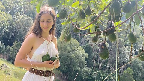 Magical Days of Autumn: Routines of a Slow Life in the Australian Rainforest 