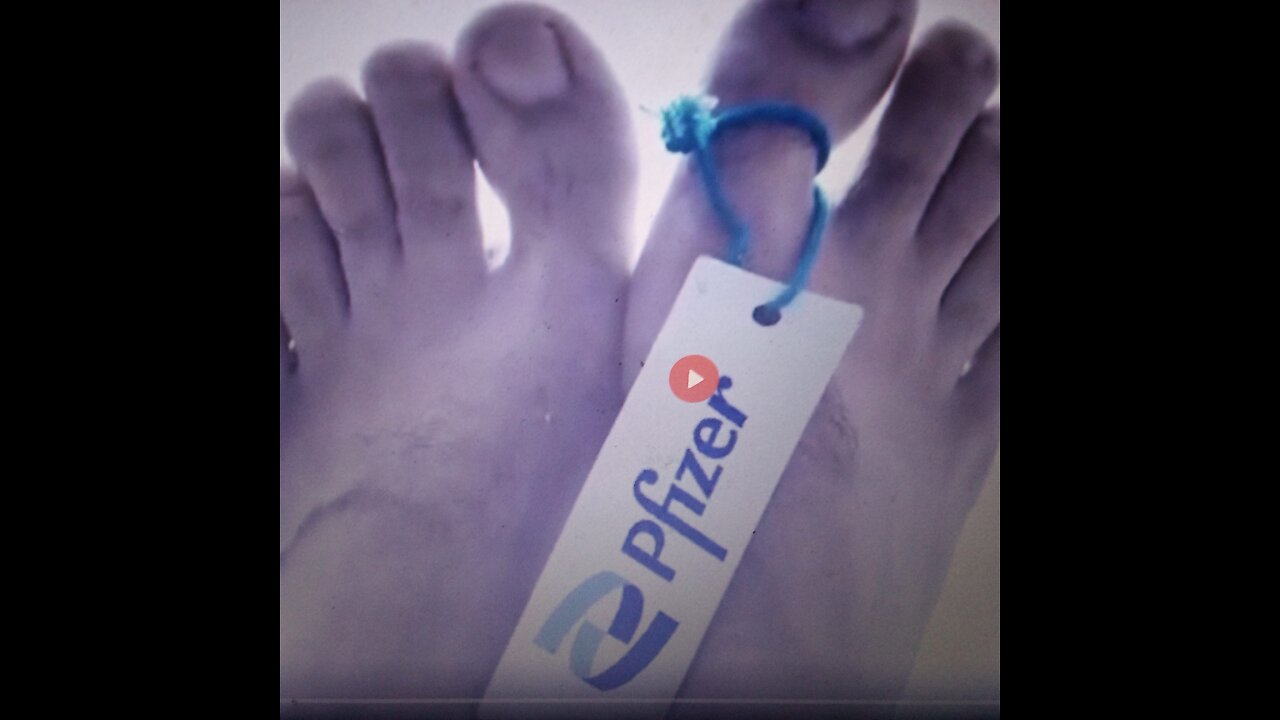 The Alex Jones Show (09/15/2022)