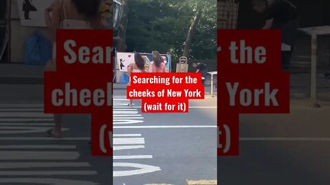 I Searched For Cheeks In Manhattan
