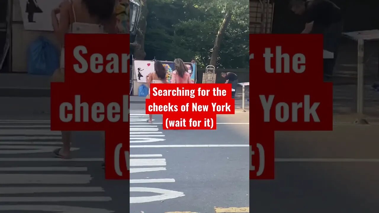 I Searched For Cheeks In Manhattan