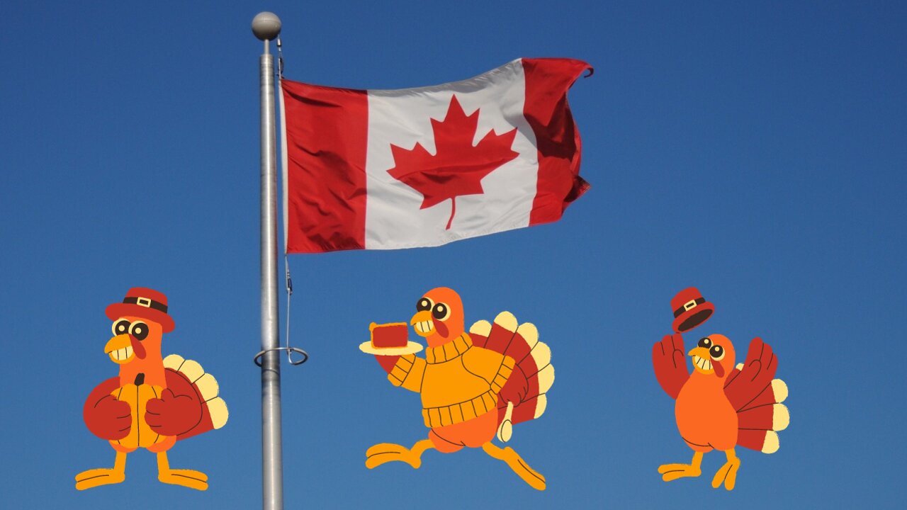 turkeys running wild in canada