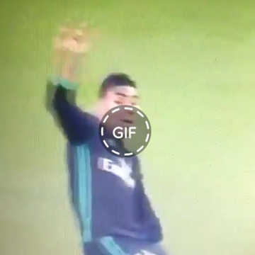 GIF.CASEMIRO