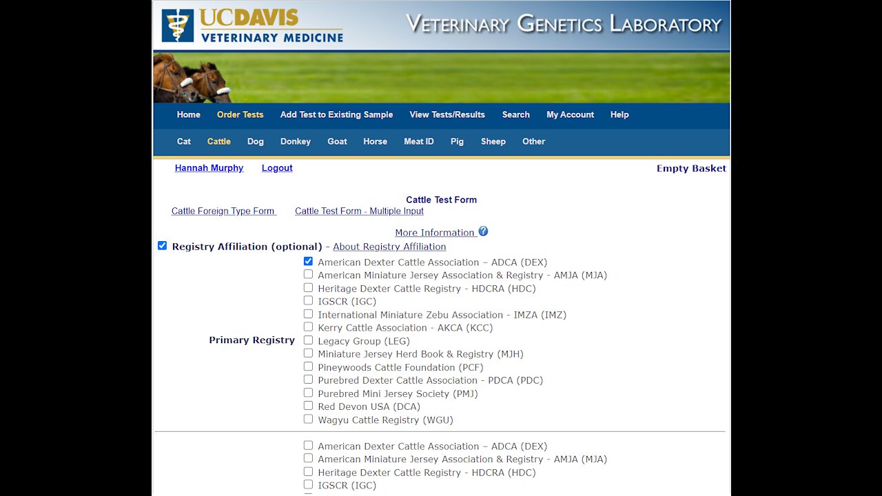 UCDavis genetic testing prep for Dexter Cattle