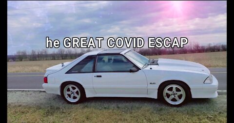 The Great Covid Escape